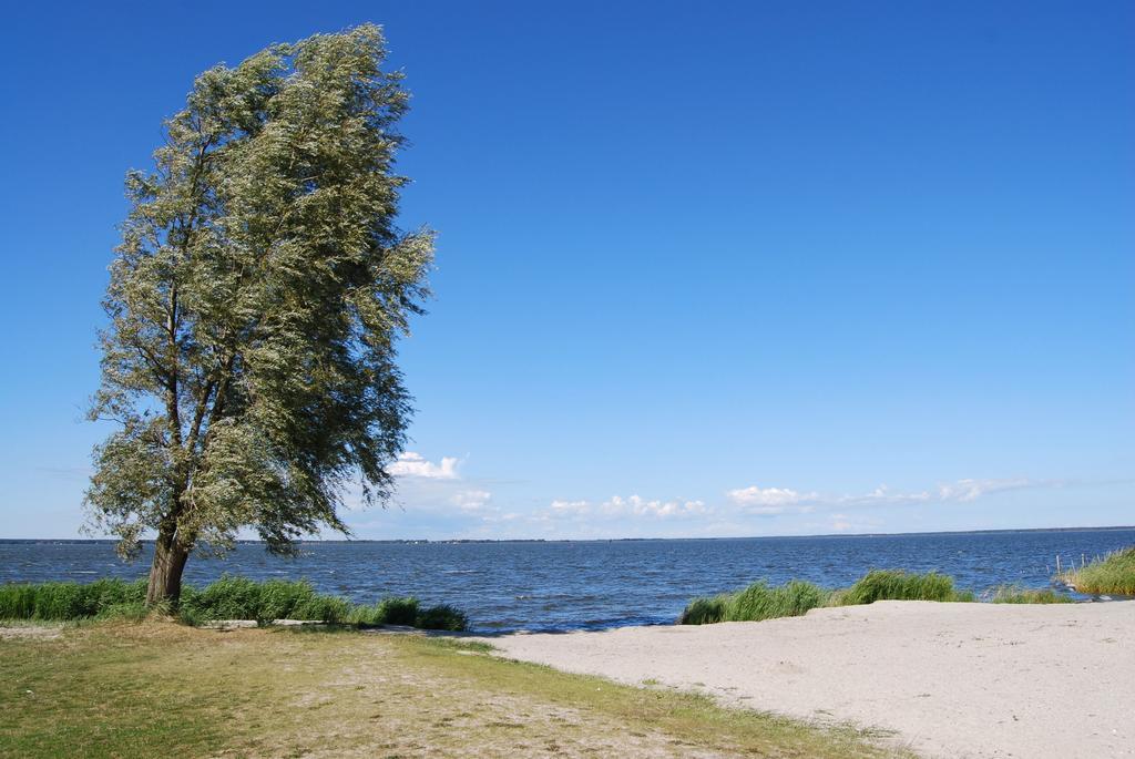 Ferienwohnung Neuendorf Neuendorf  Eksteriør billede